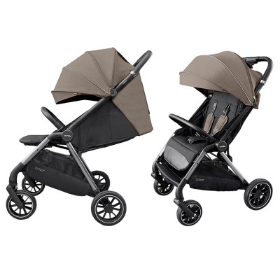 Прогулочная коляска Carrello Delta CRL-5517