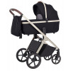 Детская коляска Carrello Vector CRL-6550 2в1